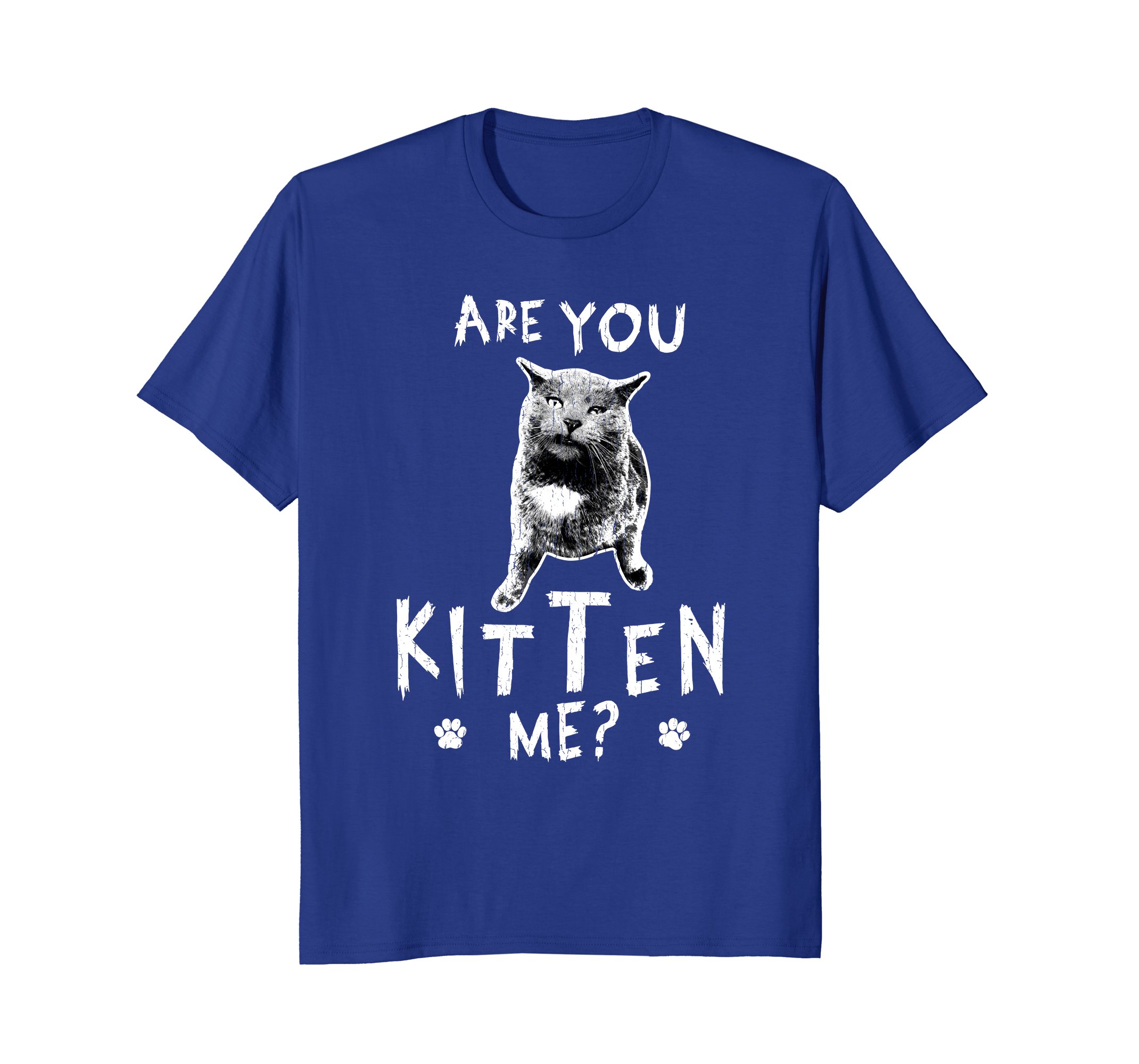 Funny Cat Lovers Women Men T Shirt | Are You Kitten Me? – PetDazz.com ...